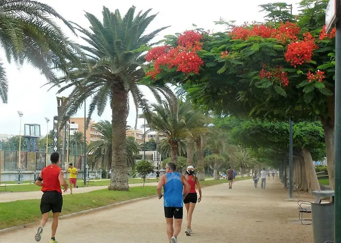 Casa Cafer Apartment *